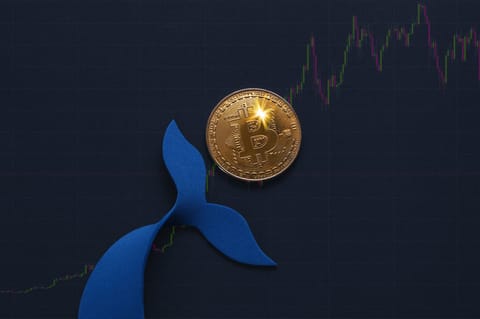 Les baleines de Solana encaissent, suggérant un déplacement vers le Bitcoin en raison de l'adoption croissante
