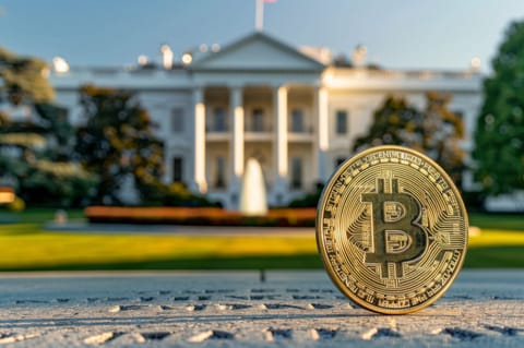 2024 US Elections' Potential Impact on Bitcoin and the Crypto Market
