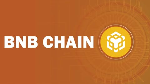 BNB Chain Leads in Weekly Transaction Volume, Surpassing $31 Billion