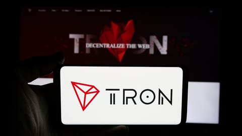 Revenirea memecoins pe TRON – Adresele active zilnice, la cel mai ridicat nivel din decembrie 2024