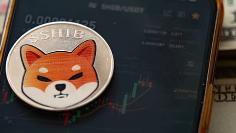 Una ballena de Shiba Inu posee casi $2.5 mil millones en SHIB desde 2020
