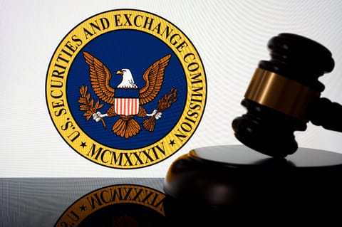 La SEC de EE. UU. declaró oficialmente que los memecoins no se consideran valores