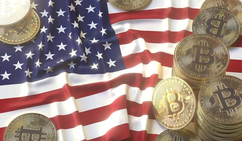 Alegătorii SUA se îndreaptă către Bitcoin înainte de alegerile 2024
