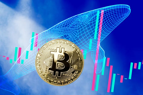 Las ballenas están acumulando Bitcoin a través de Binance – El precio de BTC repunta por encima de $87,000