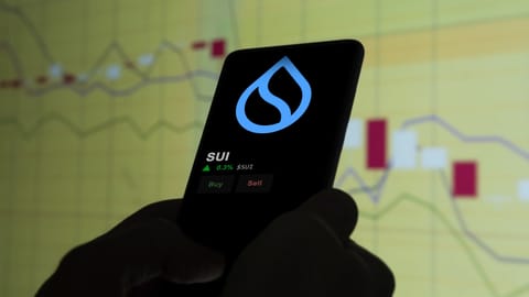 Prețul SUI crește cu 17%, după rezolvarea congestiei rețelei