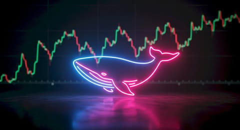 $JELLYJELLY Price Up by 146% After Whale Manipulation Causing $12M Loss for Hyperliquid's HLP Vault