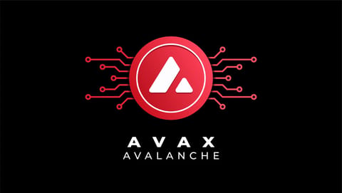 Grayscale presentó una solicitud para un ETF de Avalanche ante la SEC - El precio de AVAX se dispara