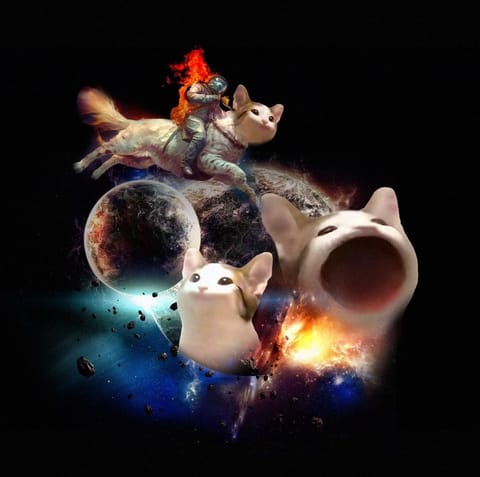 La ballena de crypto gana más de $1.2 millones en POPCAT