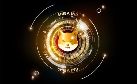 $3,400 investiți în SHIB în August 2020 - acum valorează $1,55 miliarde