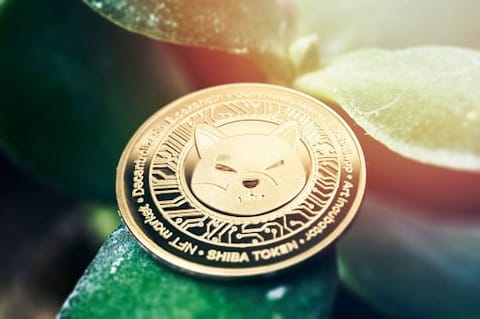 Les experts prédisent que ces 3 meme coins surpasseront Shiba Inu (SHIB) pour des gains au T1 2025