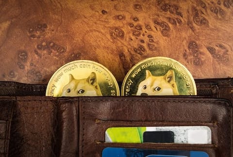 *NOUVEAU* Ce rival de Dogecoin pourrait-il être le prochain 10x? Les données semblent optimistes!