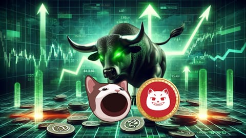 Cette pièce pourrait répéter la hausse de 15 000 % de POPCAT ! Voici pourquoi