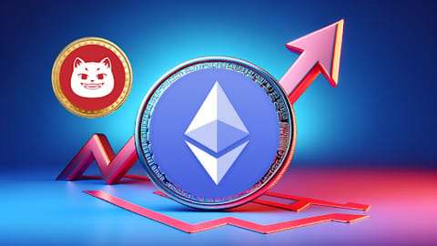 Estas alternativas a Ethereum, incluida Catzilla, están listas para explotar en la nueva fase del mercado