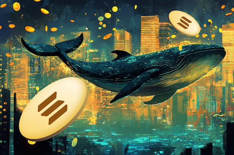 SOL atteint un sommet historique après que Trump a lancé une pièce de mème sur la blockchain Solana, les investisseurs en Ripple se tournent vers PayFi Remittix