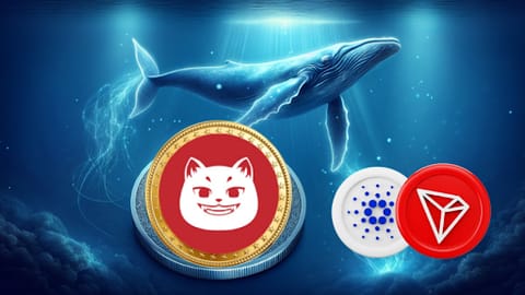 Meilleures nouvelles cryptos à acheter en ce moment? Explorez les altcoins qui pourraient laisser TRX et ADA dans la poussière !