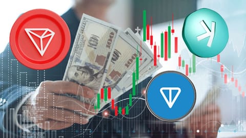 Les investisseurs affluent vers TRX, XMR et KAS lors de ce recul de marché rare