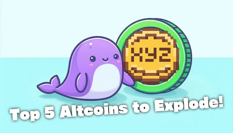 Precios de criptomonedas hoy: XYZ y Solana superan mientras Bitcoin se comercia sin cambios