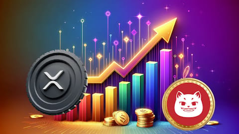 Mise à jour du prix XRP: Ripple est-il le meilleur choix dans le chaos ou devrait-on garder un œil sur ce nouvel outsider?