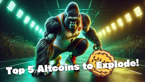 Los 5 principales altcoins que vale la pena observar en mayo: ONDO, HYPE, SEI, TAO, y XYZVerse podrían encender la altseason