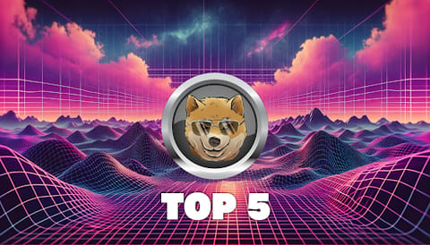 Les 5 meilleures crypto mèmes sous $0,01 qui pourraient faire x1000 avant la prochaine course haussière!
