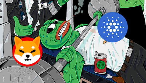 Alertes de chute pour $SHIB et $ADA—les baleines crypto s’accumulent sur ce token ‘secret’ pour 2025