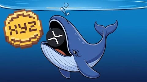 Rallye du XRP à 9 $ d'ici 2025 ? Une baleine de 140 M $ voit XYZverse grimper de 65 000 % aussi