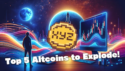 Top 5 altcoins tenant bon dans le crash du marché – quand est-on en droit d'attendre le rebond du marché?