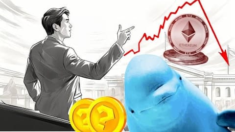 Mientras los traders retail venden por miedo, los grandes inversores están acumulando estas gemas criptográficas ocultas