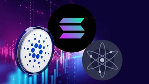 Le moment parfait pour accumuler Cardano, Solana et Cosmos avant le début du rallye